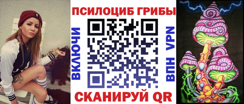 Псилоцибиновые грибы Psilocybe  OMG ТОР  Бор 